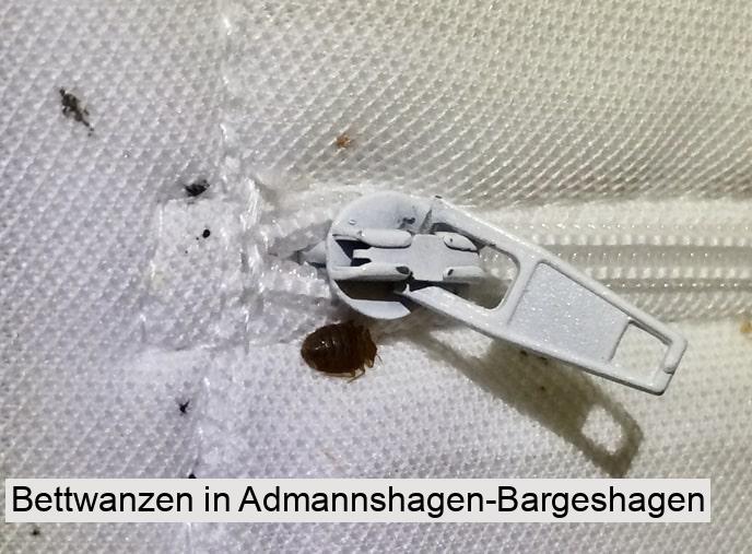 Bettwanzen in Admannshagen-Bargeshagen